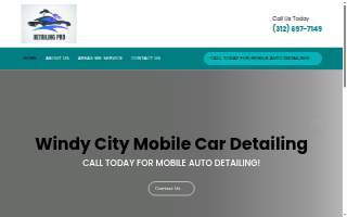 Windy City Mobile Car Detailing of Lisle