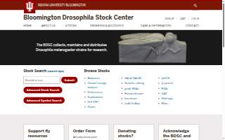 Bloomington Foundation Repair Experts