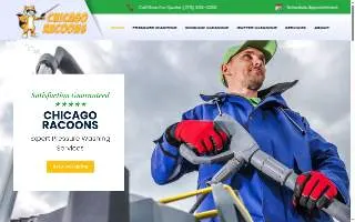 Chicago Racoons - Window & Power Washing website