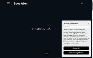 Booz Allen Hamilton website