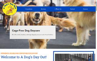 Doggy Day Spa Grooming