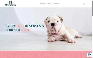 Waggles Pet Resort of Prospect Heights website