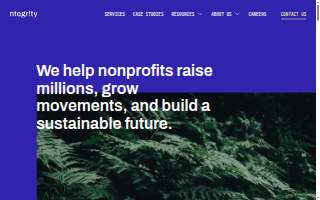 Ntegrity Marketing Solutions, INC