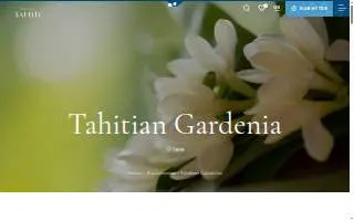 TIARE Flower delivery website