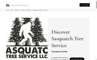 Sasquatch Tree and Stump of South Holland website