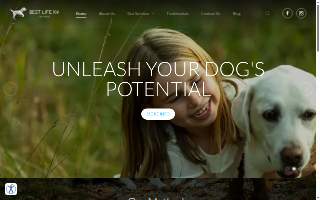 Best Life K9 Training
