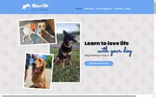 Belly Up Dog Training website