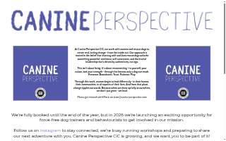 Canine Perspective: Structured Daycare, Boarding &amp; Training