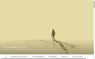 Camino Wellness Center | Acupuncture & Meditation