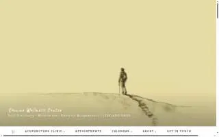 Camino Wellness Center | Acupuncture & Meditation website