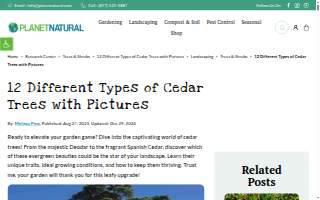 Cedar Tutoring Academy