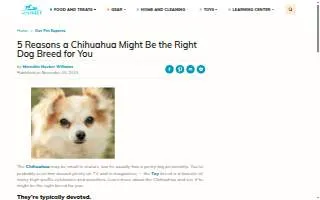 The Chihuahua's Home website