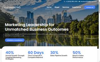 Lead Marketing LLC