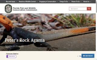 Agama Designs Architecture