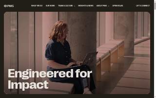 PMG. 5.0(114) Website designer
