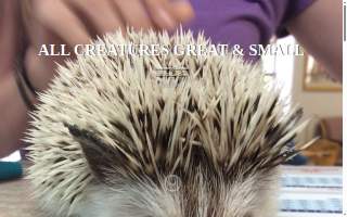 All Creatures Great & Small Veterinary Hospital