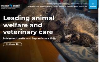 Angell Animal Medical Center