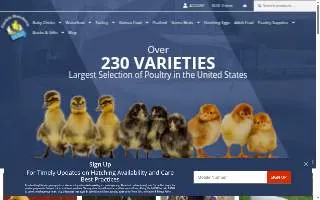 Cackle House Storage website