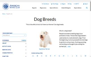 Dog Training Elite of Indianapolis