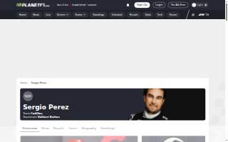Perez Handyman Services, LLC