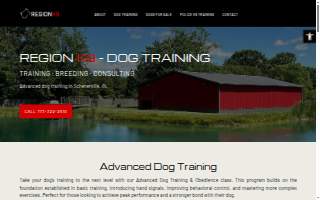Region K9 - Dog Training