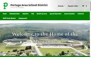Portage Family Chiropractic website