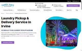 Laundry & Tan Connection website