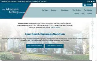 The Akopyan Group, CPAs P.S. website