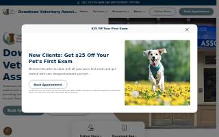 Downtown Veterinary Associates