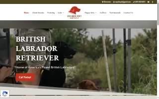 Red Rocket Kennels - British Labrador Retrievers