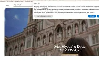 Dixie Veterinary Clinic of Dayton website