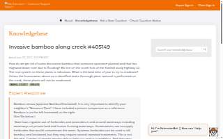 Bamboo Financial Partners