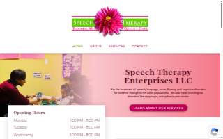 Speech Therapy Enterprises LLC