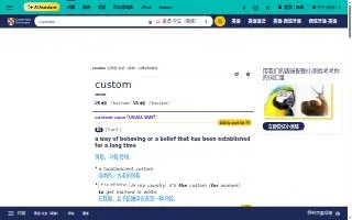 Custom Accounting Solutions website