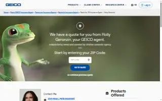 Holly Geronzin - GEICO Insurance Agent website