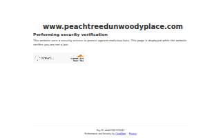 Peachtree Dunwoody Square