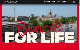 Catalyst Business Consulting website