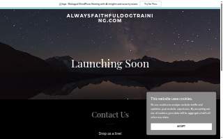 Always Faithful Dog & Puppy Training Ann Arbor MI