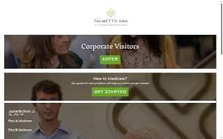 Palmetto In-Home Health website