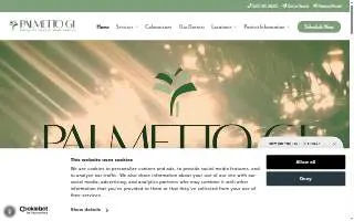 Palmetto Digestive Disease & Endoscopy Center of Moncks Corner website