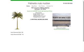 Palmetto Auto Auction