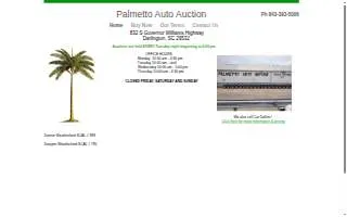 Palmetto Auto Auction website