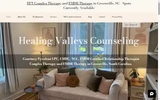 Healing Valleys Counseling website