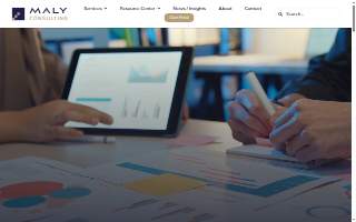 Maly Consulting LLC website