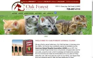 Lady's Island Dental website