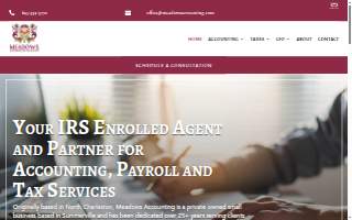 Meadows Accounting & Tax Services website