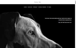 The Dog Wash