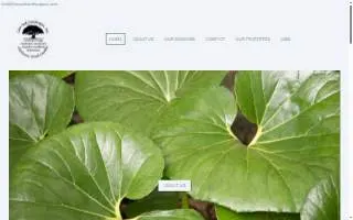 Davidson Dermatology website
