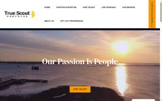 True Scout Partners website