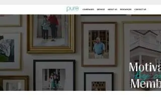 PURE Insurance of Charleston website